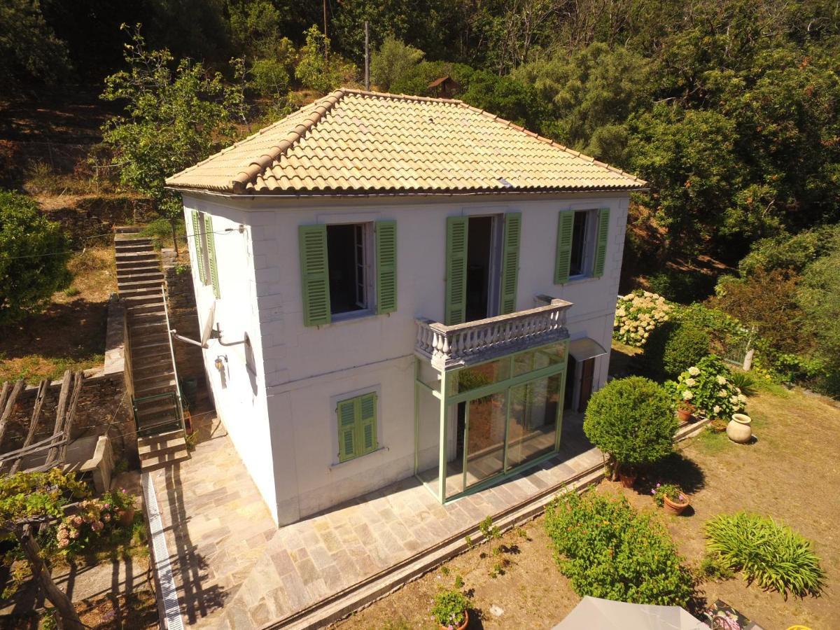 Aroma Green Villa Cagnano Dış mekan fotoğraf