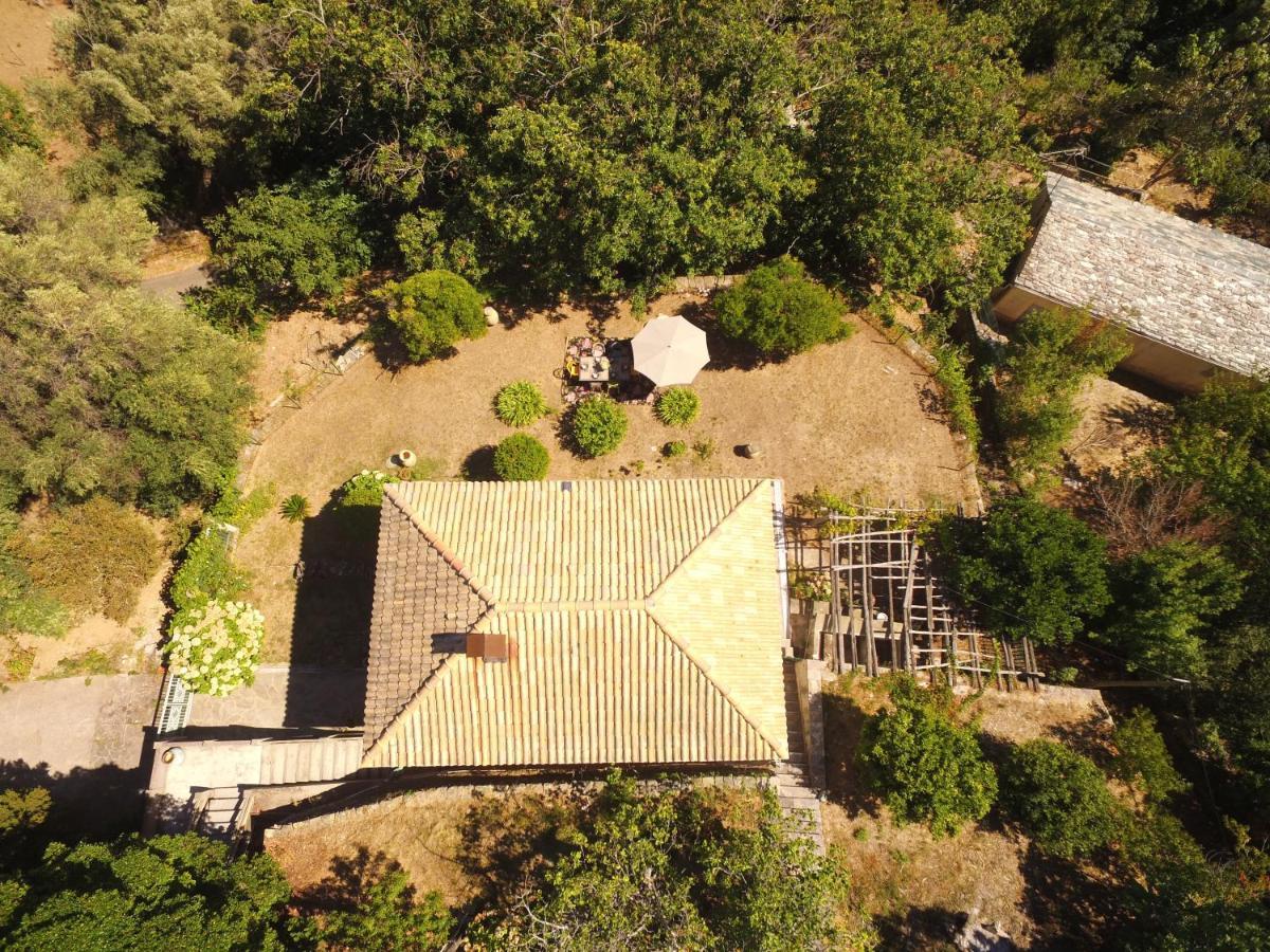Aroma Green Villa Cagnano Dış mekan fotoğraf