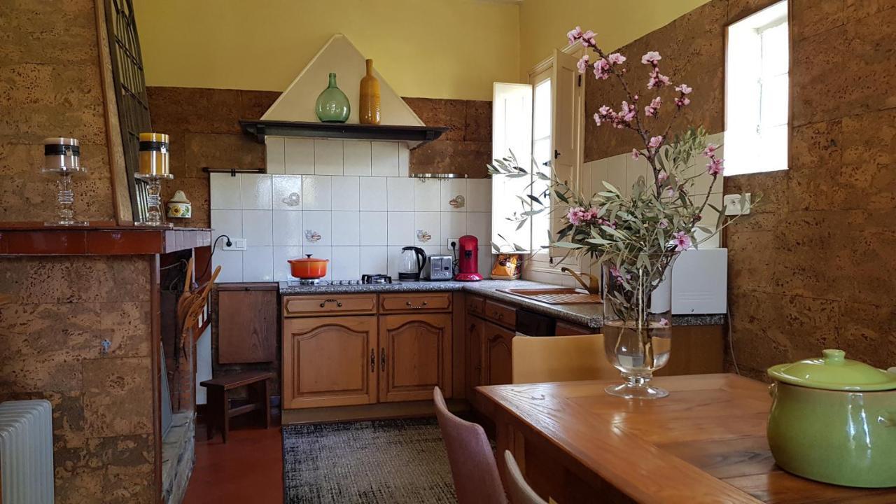 Aroma Green Villa Cagnano Dış mekan fotoğraf
