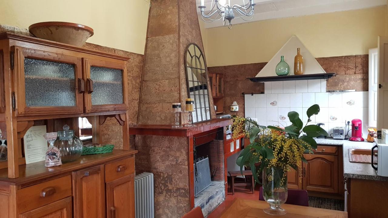 Aroma Green Villa Cagnano Dış mekan fotoğraf