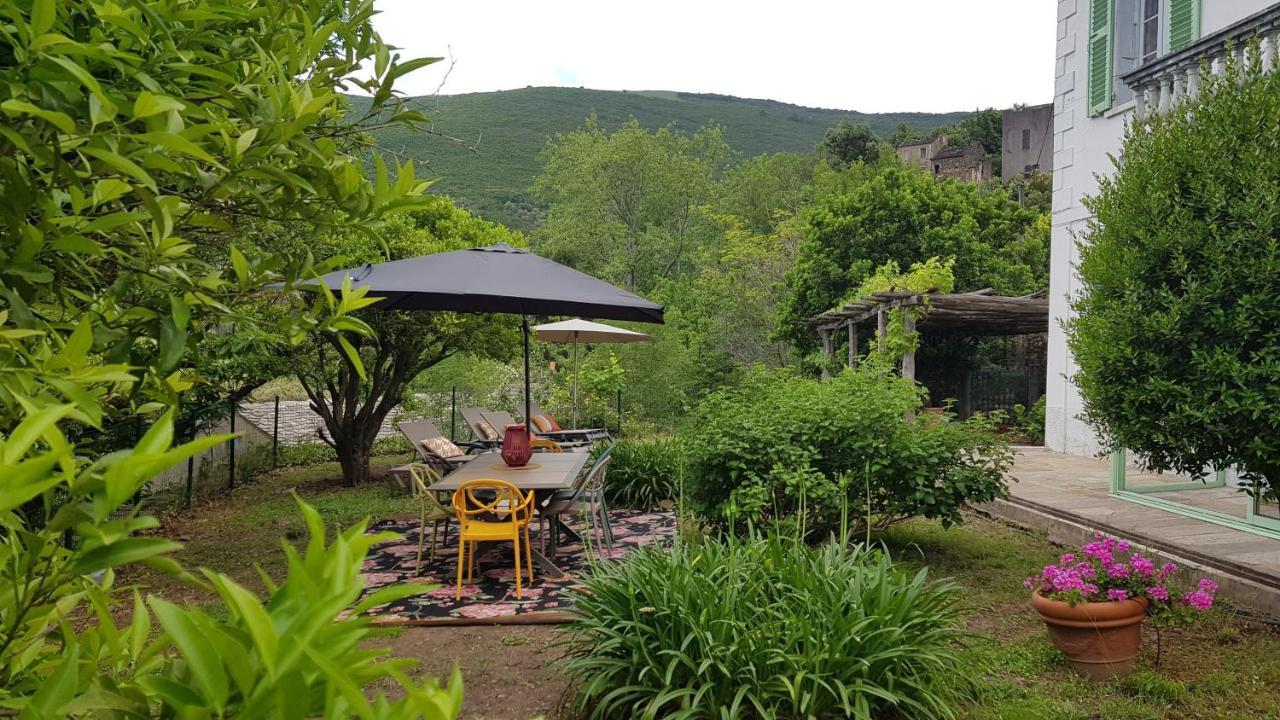 Aroma Green Villa Cagnano Dış mekan fotoğraf